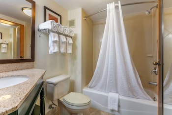 comfort inn downtown