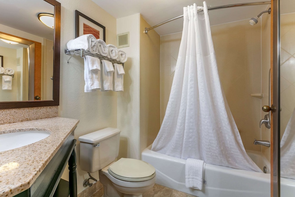 comfort inn downtown