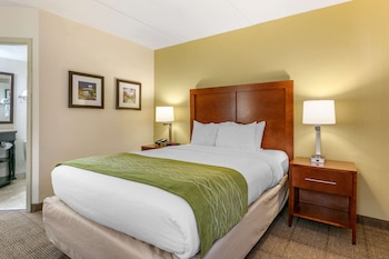 comfort inn downtown