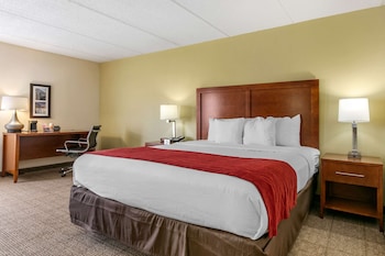 comfort inn downtown