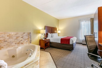 comfort inn downtown