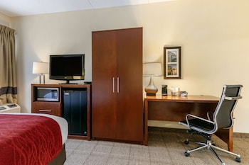 comfort inn downtown