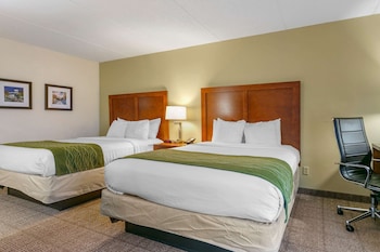 comfort inn downtown