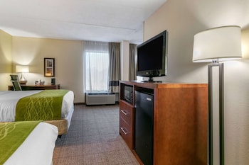 comfort inn downtown