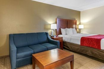 comfort inn downtown