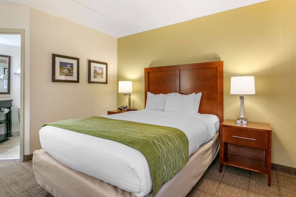 comfort inn downtown