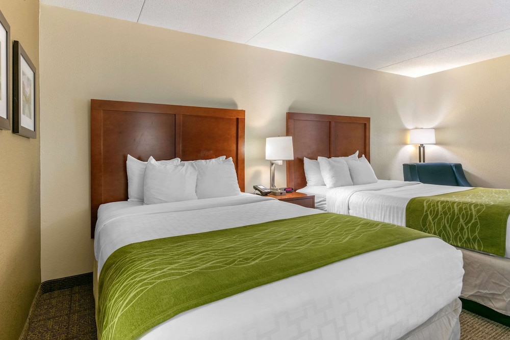 comfort inn downtown