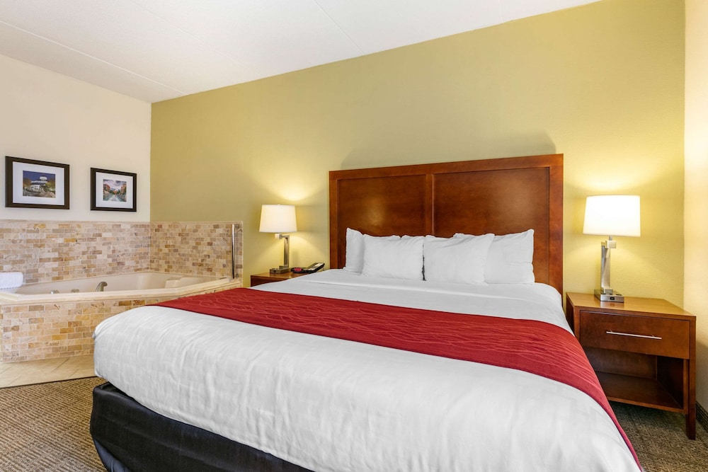 comfort inn downtown