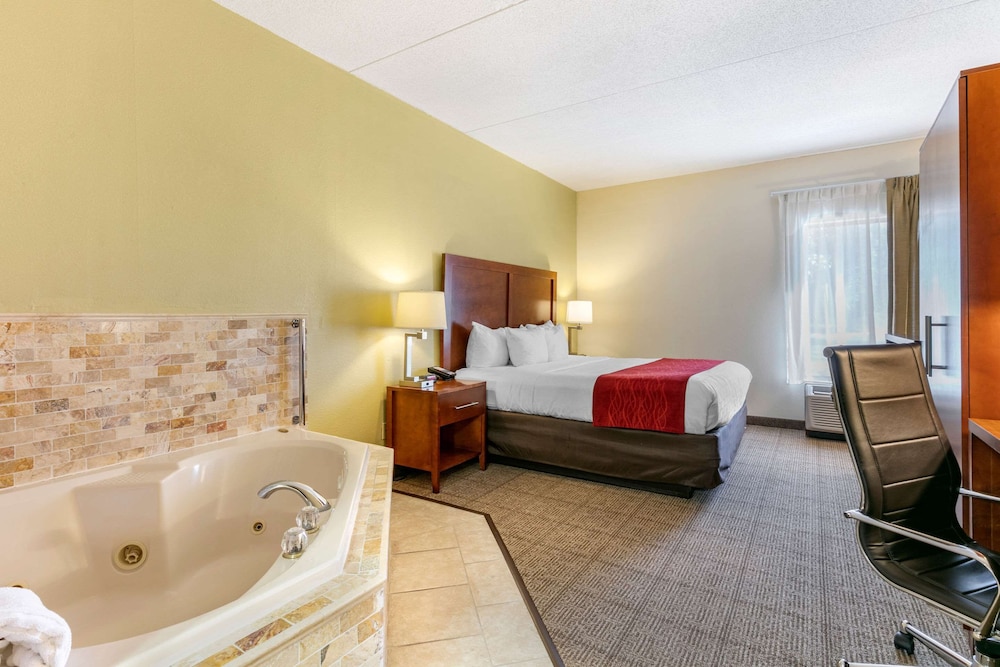 comfort inn downtown