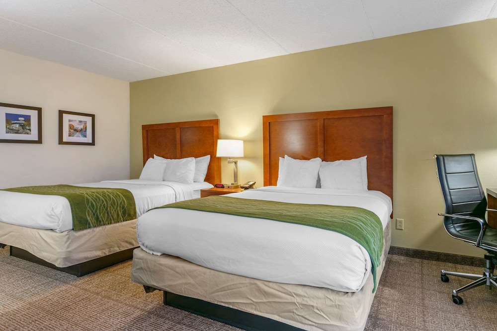 comfort inn downtown