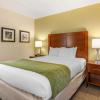 comfort inn downtown