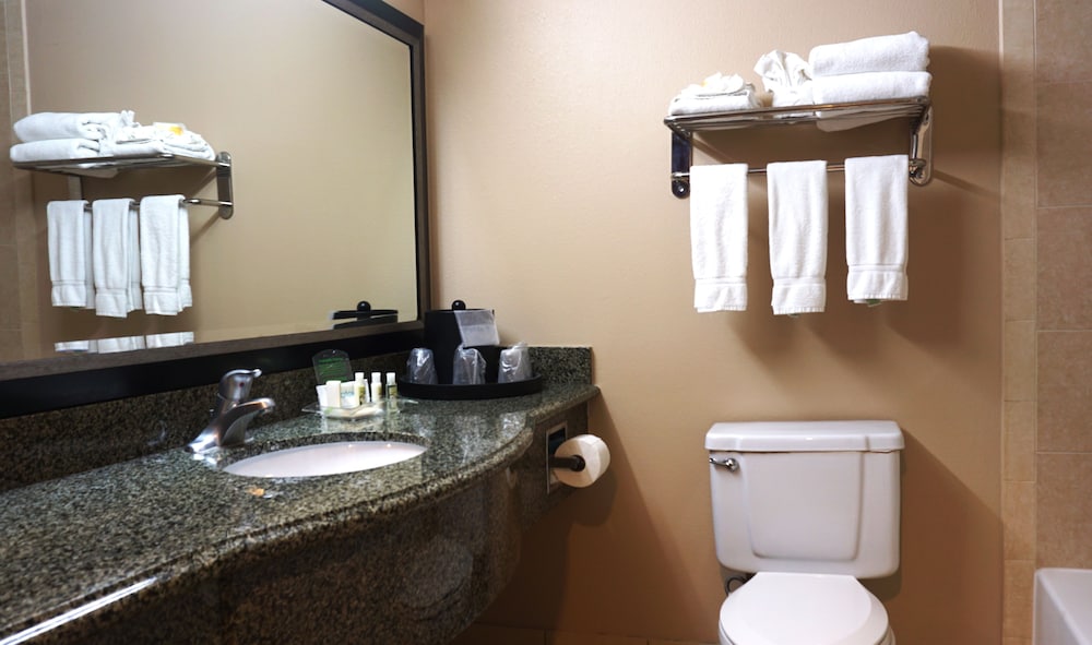 holiday inn corpus christi arpt and conf ctr by ihg