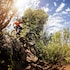 colorado springs