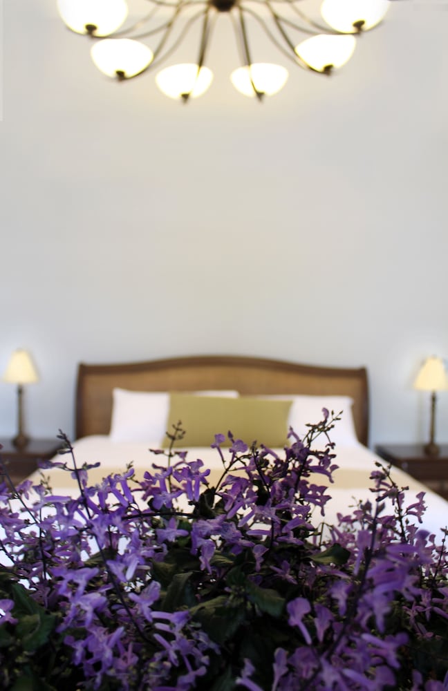 delfina mansion boutique