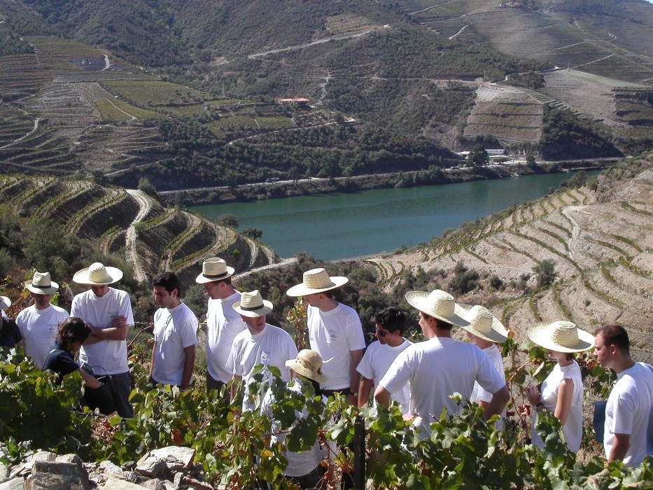 quinta nova de nossa senhora do carmo