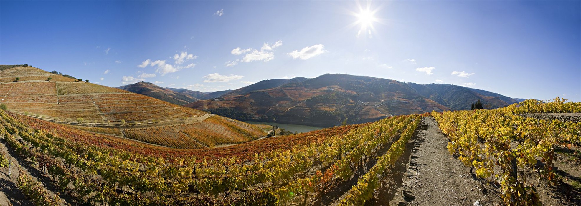 quinta nova de nossa senhora do carmo