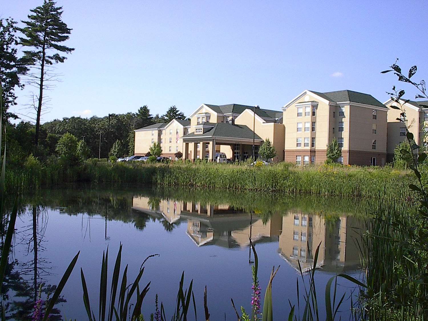 homewood suites by hilton boston billerica