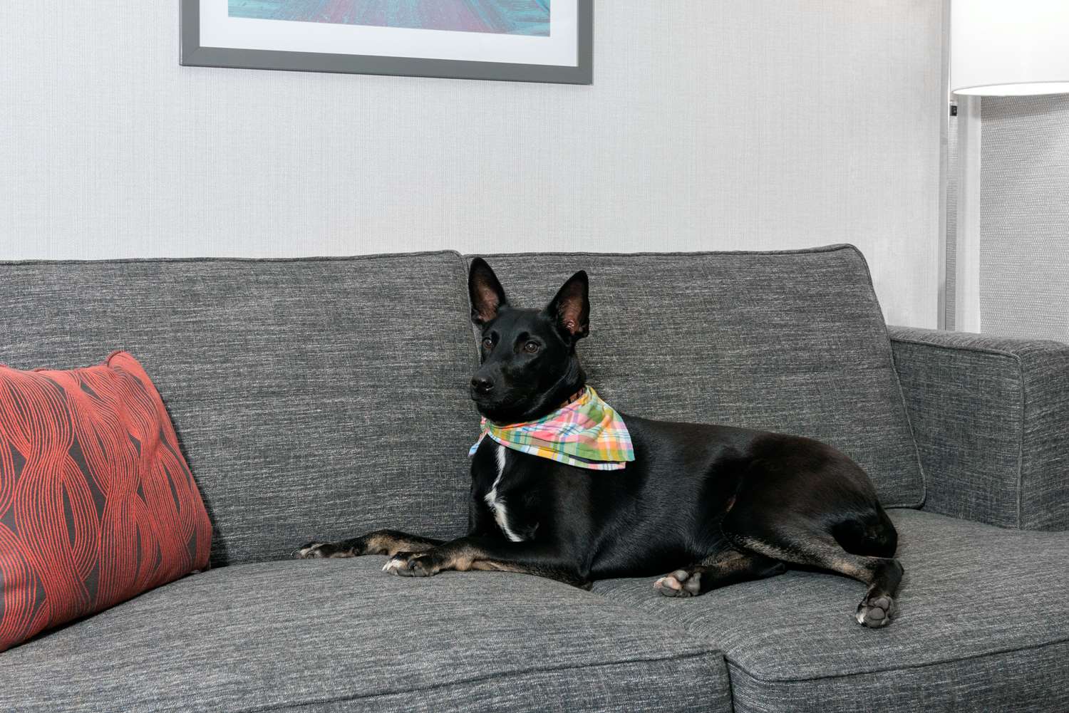 hampton inn boston bedford burlington