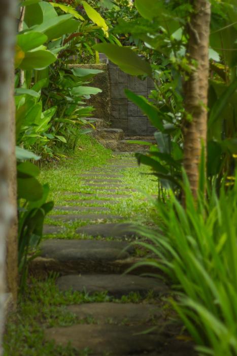 bali