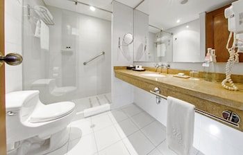 hotel morrison zona rosa