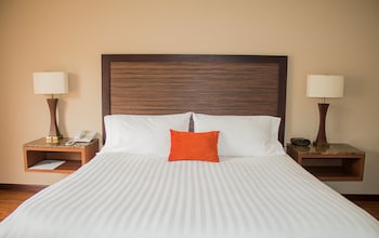 hotel morrison zona rosa