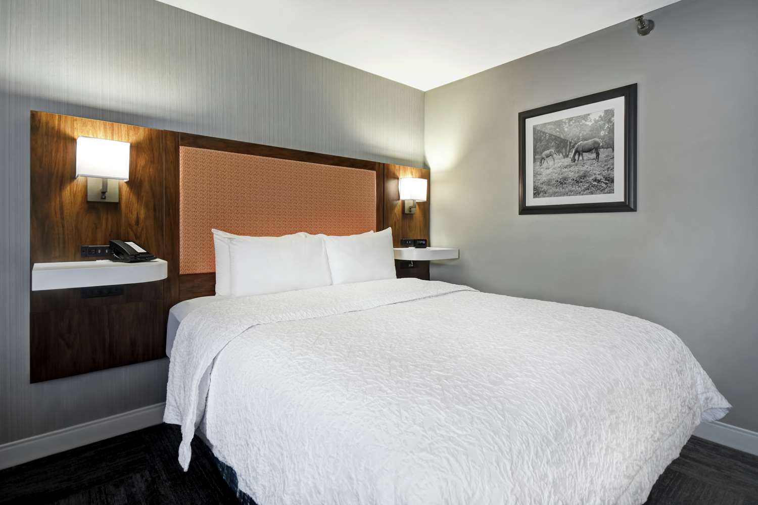 hampton inn i 75 lexington hamburg area