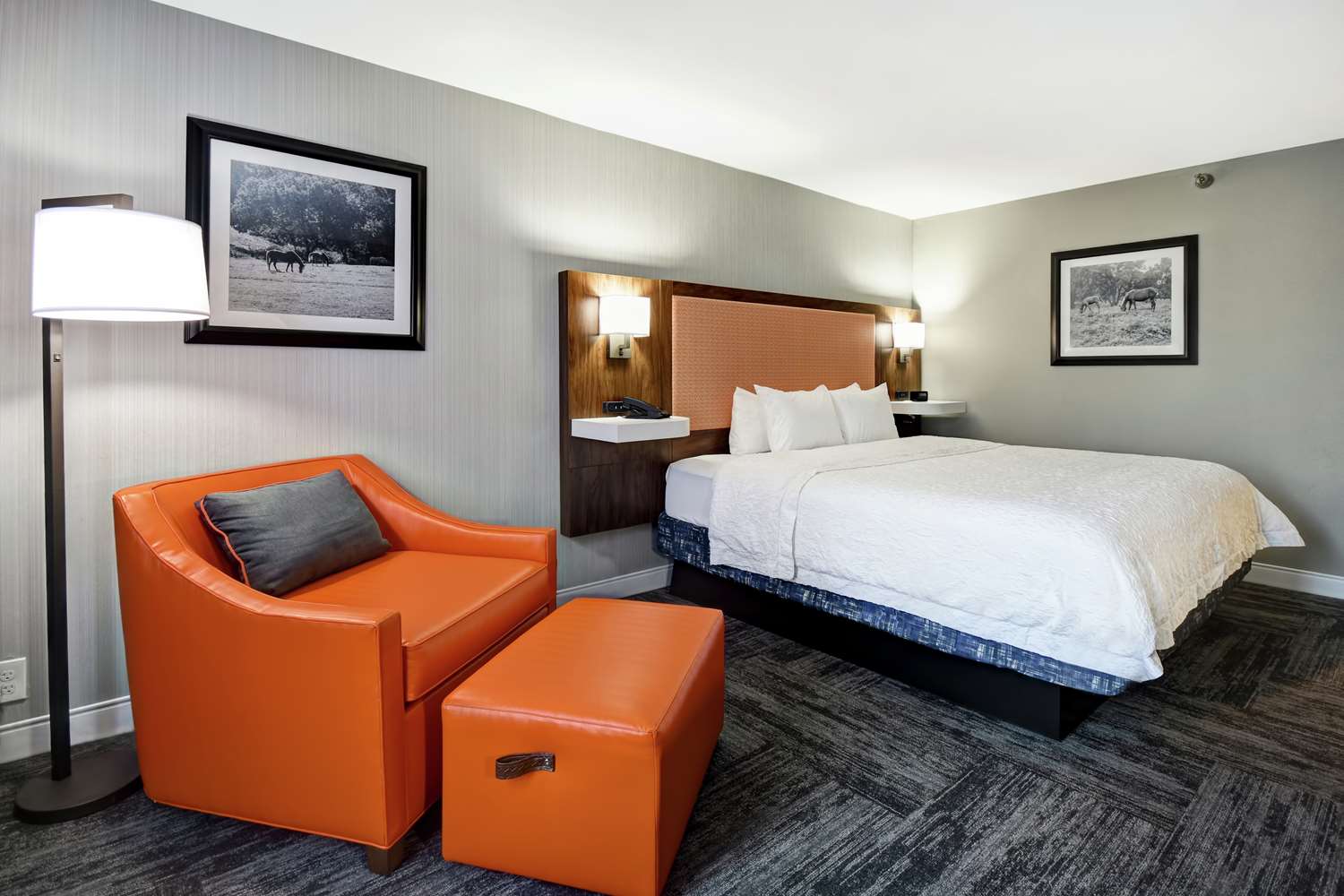 hampton inn i 75 lexington hamburg area