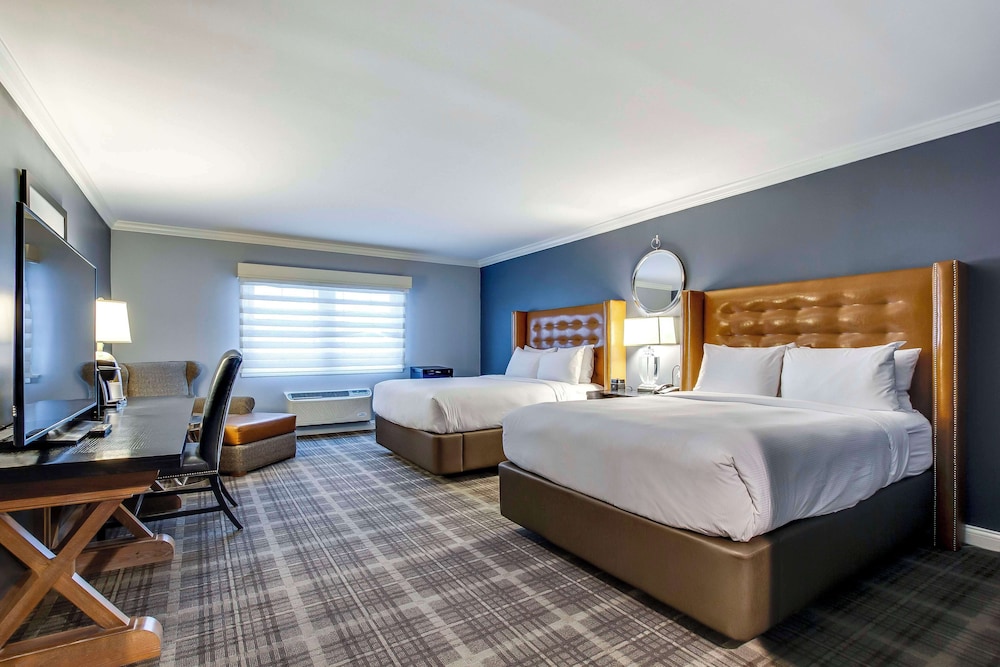 the campbell house lexington curio collection by hilton