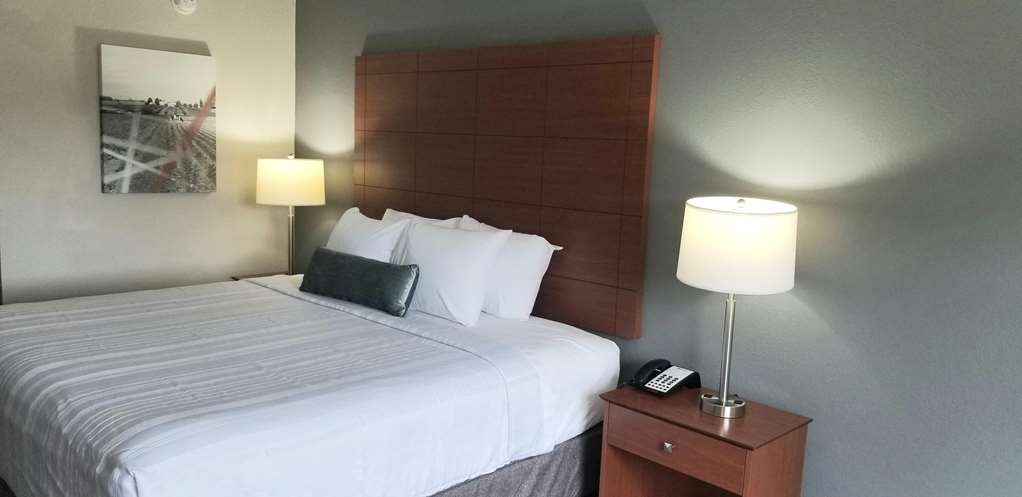 best western lexington inn