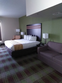 quality inn and suites
