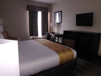 quality inn and suites