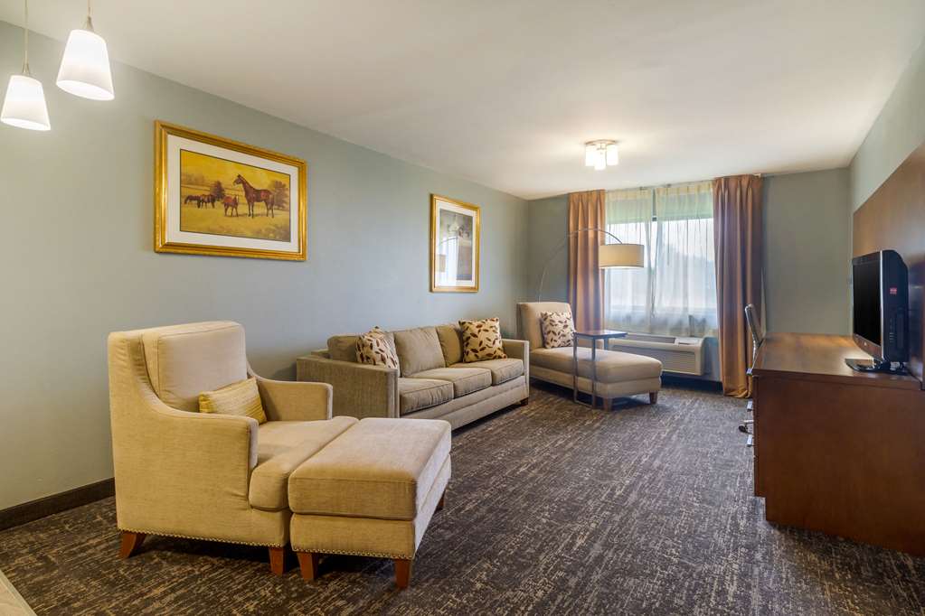 quality inn