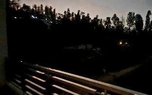 ihotels yercaud