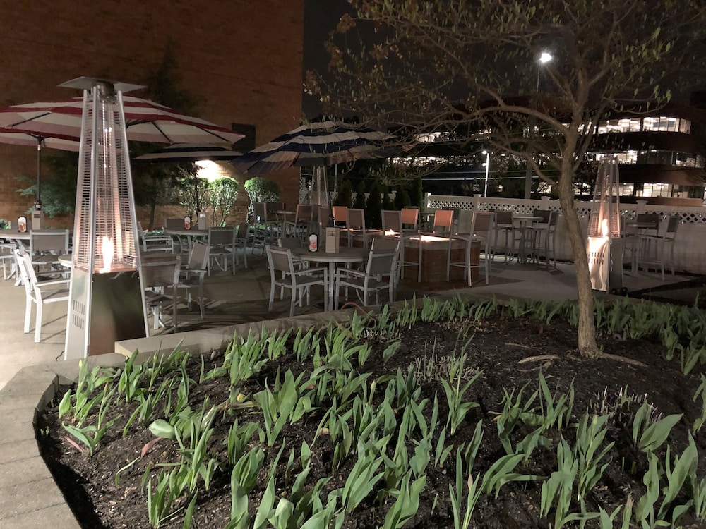 marriott albany
