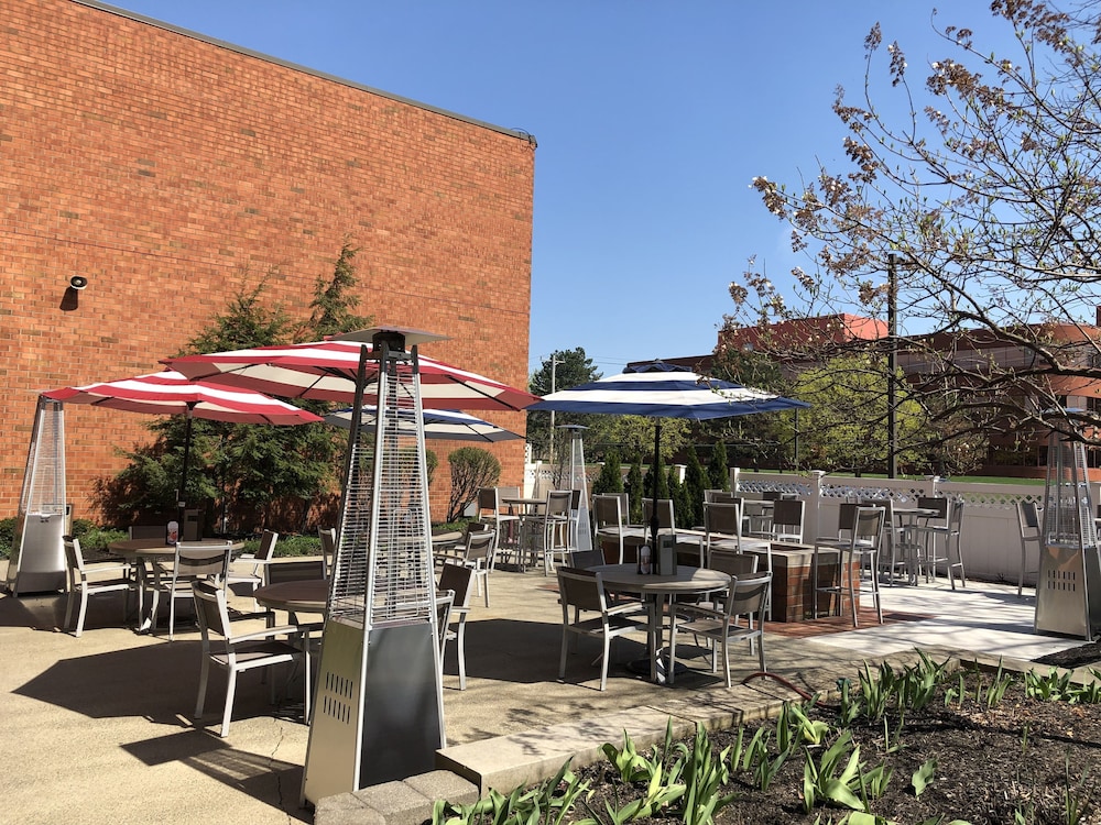 marriott albany
