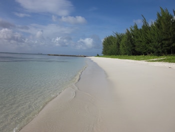 aquarius beach tower