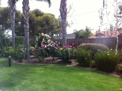 adelaide