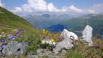 alpengold davos