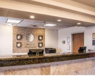 comfort inn and suites ocean shores