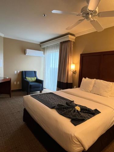 comfort inn and suites ocean shores