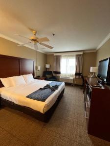 comfort inn and suites ocean shores