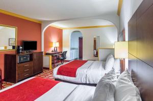 quality suites
