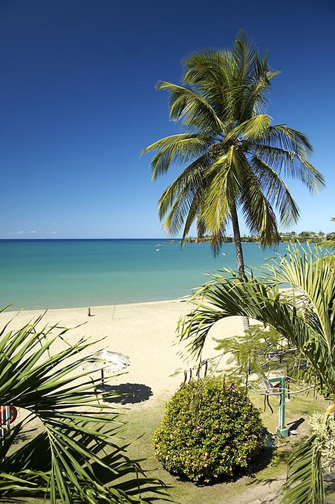 starfish tobago resort