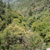 dalhousie hotel paradise hill view