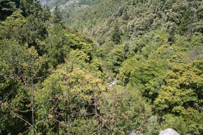 dalhousie hotel paradise hill view