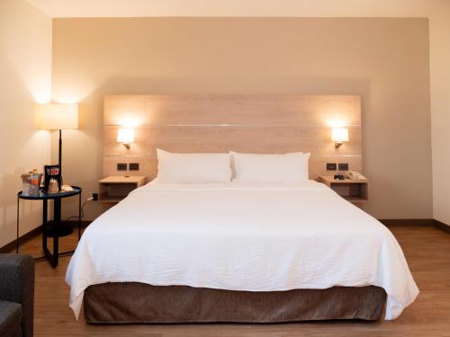 holiday inn express tecnologico