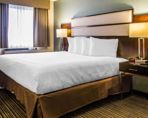 quality inn