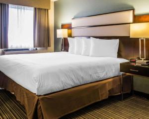 quality inn