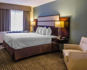 quality inn