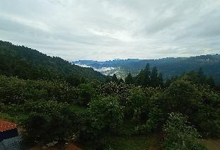 darjeeling
